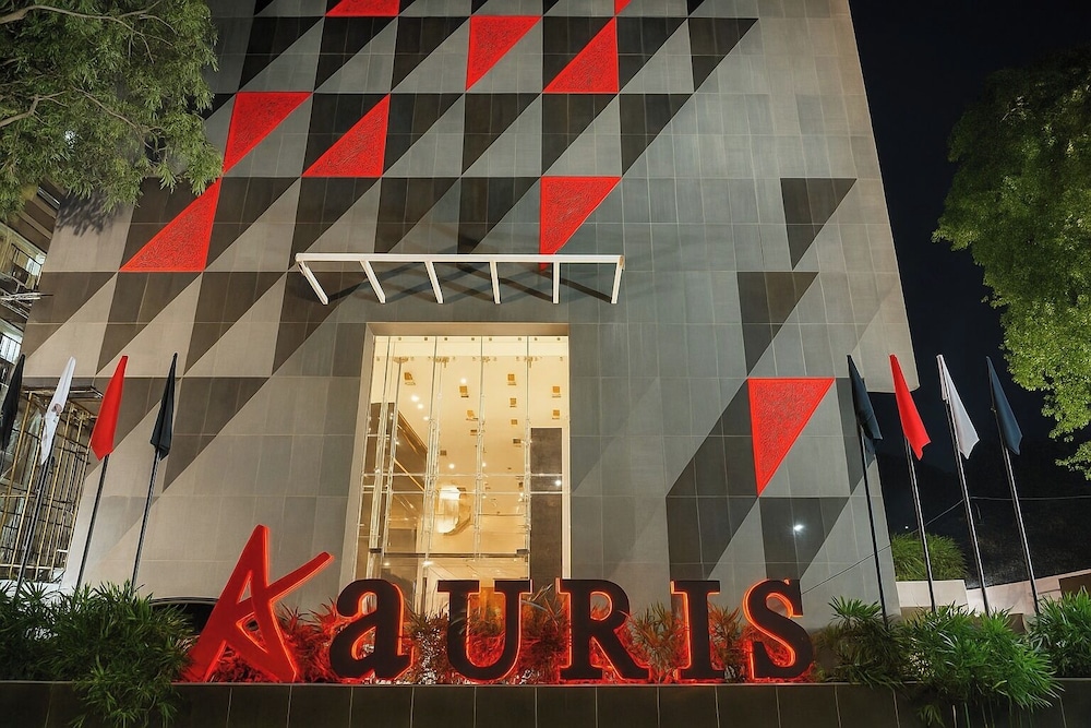 奥瑞斯酒店(AAURIS HOTEL) 图片4