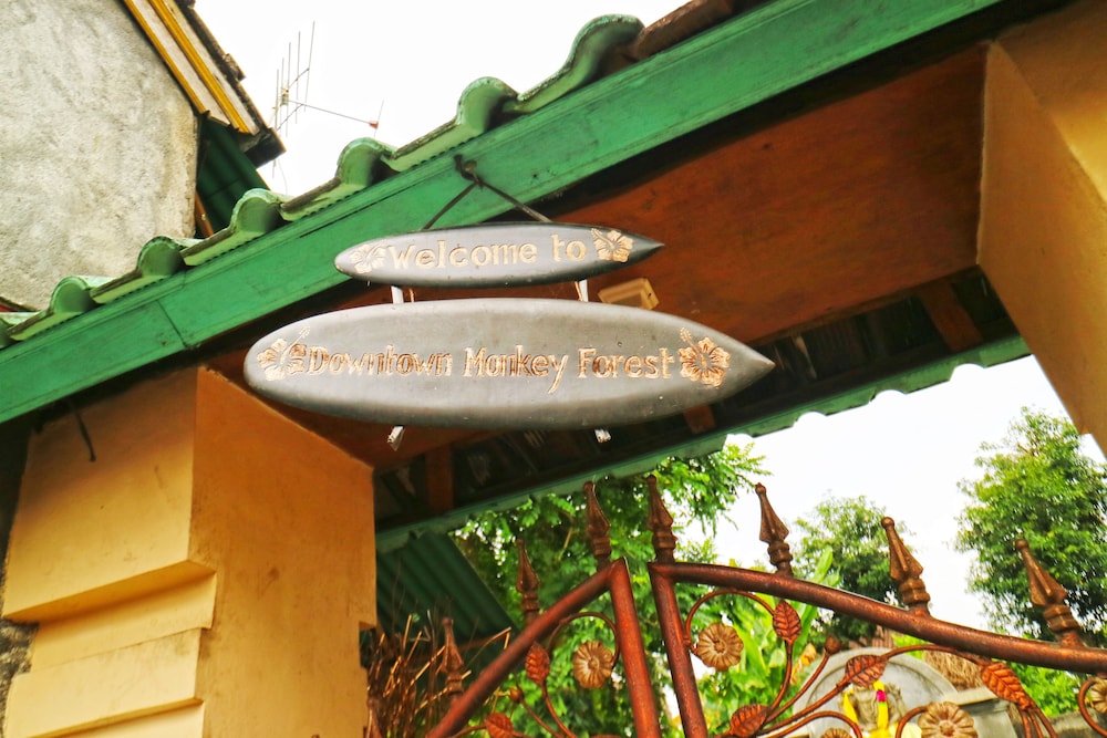Downtown Monkey Forest - Hostel 9/58