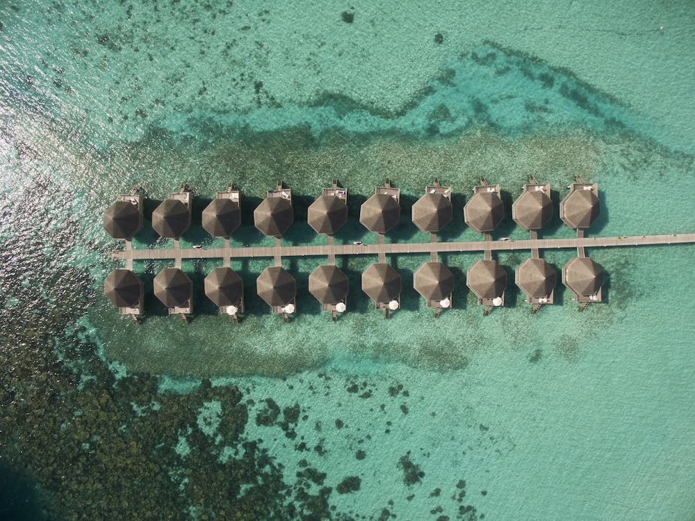 Angaga Island Resort And Spa 30/57