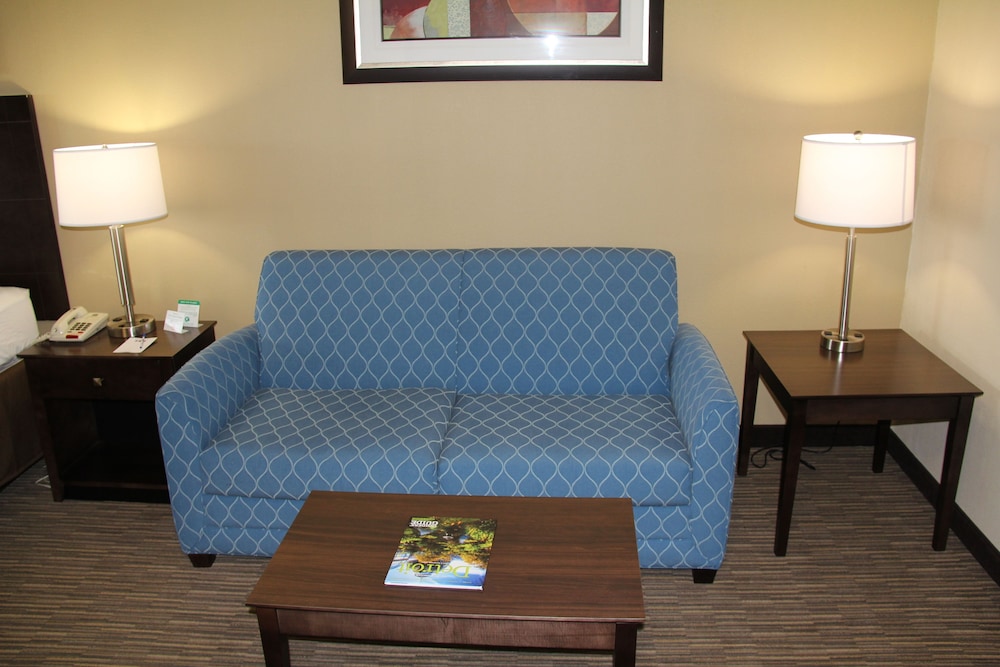 Best Western Port Huron Blue Water Bridge 17/31