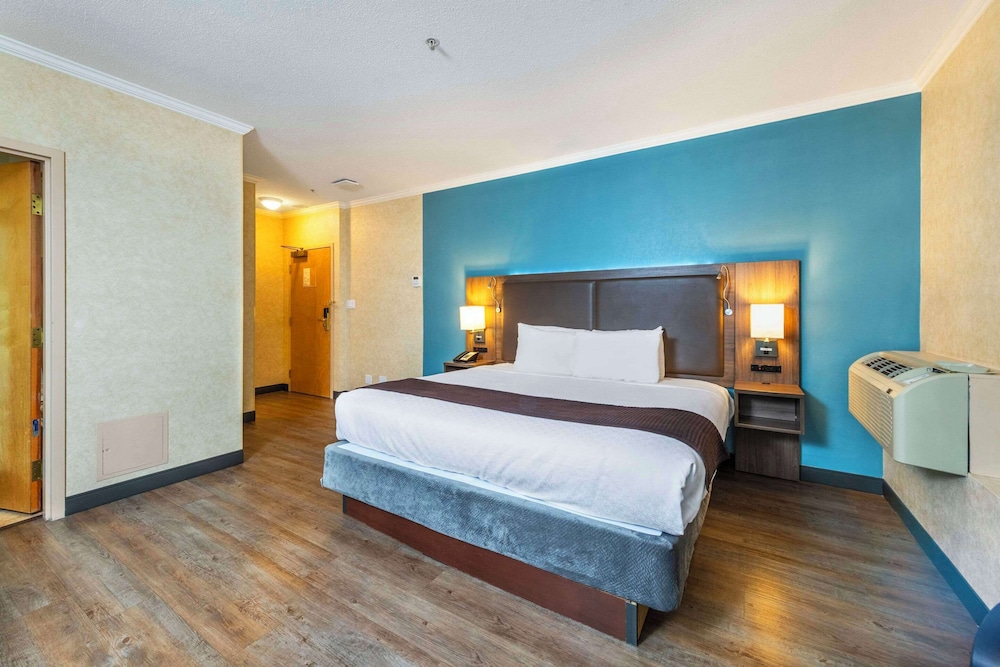 EFFICIENCY, KING BED