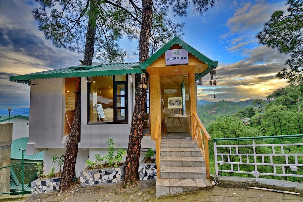 UNA COMFORT KASAULI EXOTICA 31/50