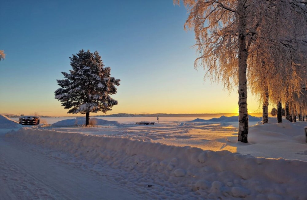 First Camp Luleå 35/47