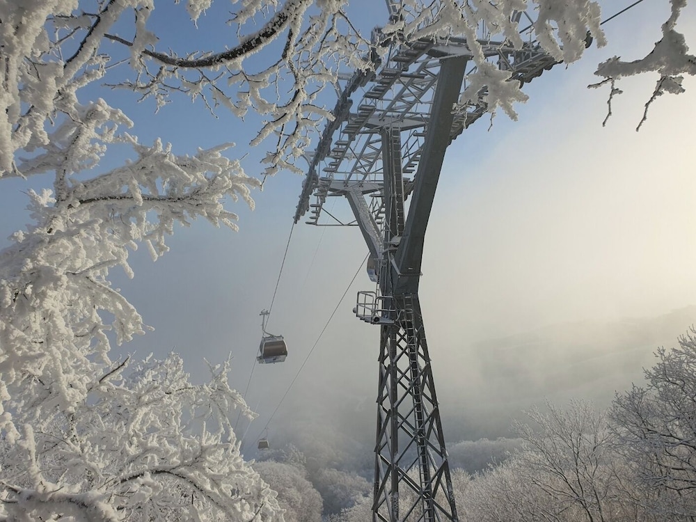 Phoenix Resort Pyeongchang 46/48