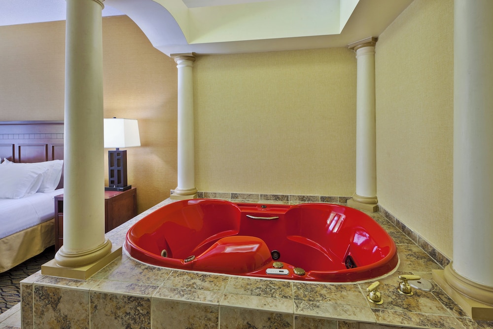 Holiday Inn Express & Suites Belleville (Airport Area) 22/50