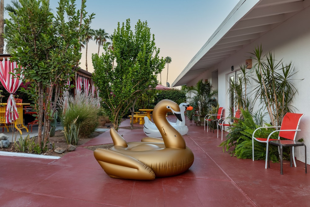 Float Palm Springs 38/50