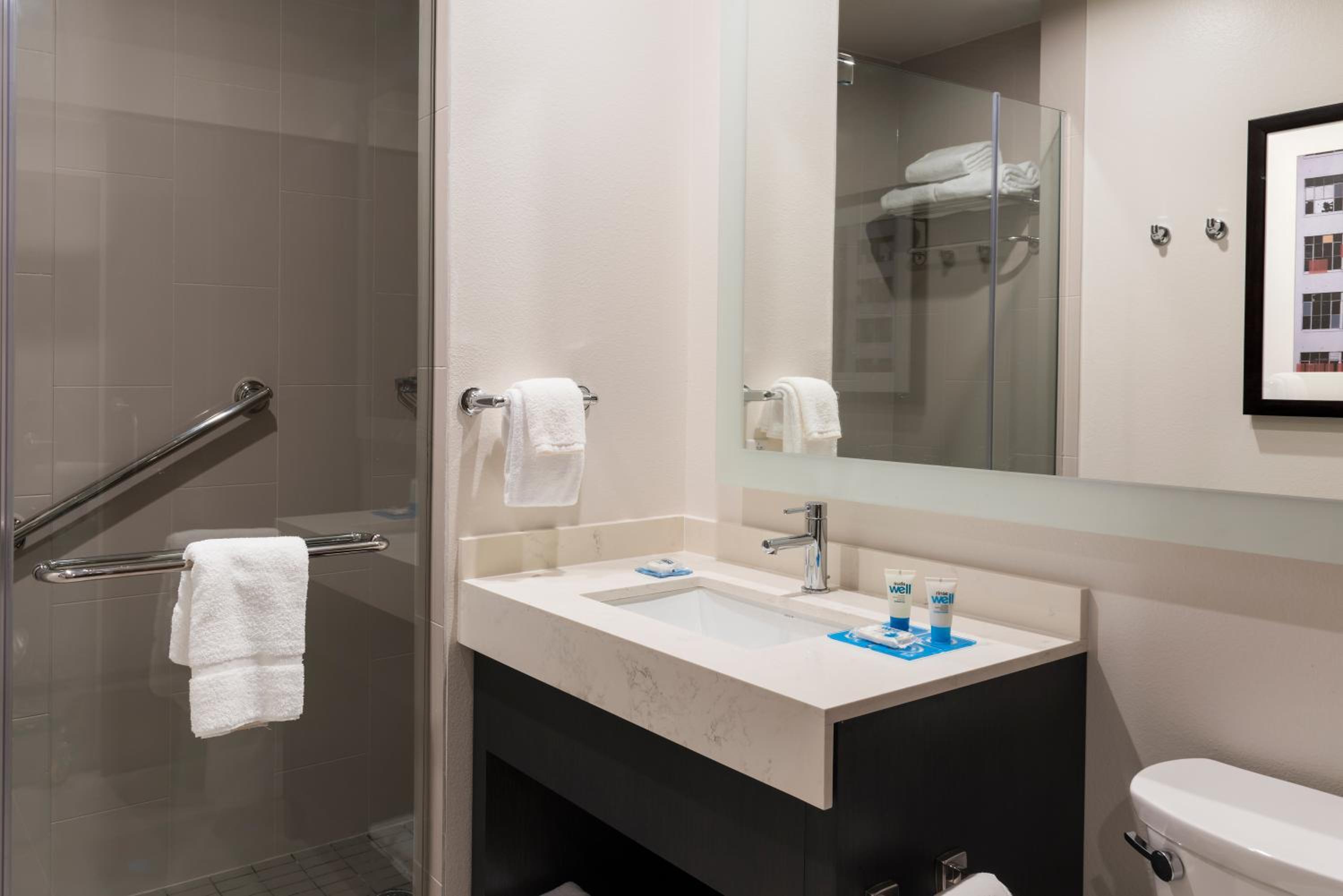 1 Bedroom, Specialty, Suite, King Bed, Sofa, Kitchen