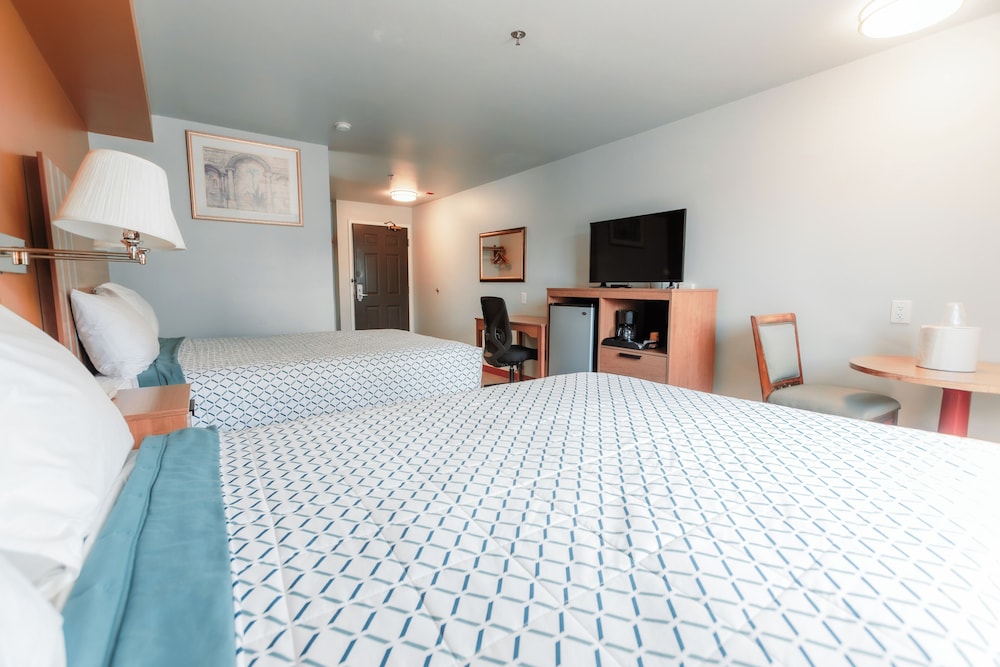 Bay City Motor Inn 22/67