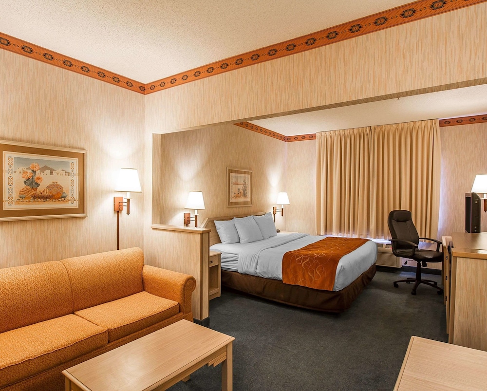 Comfort Suites Peoria Sports Complex 14/43