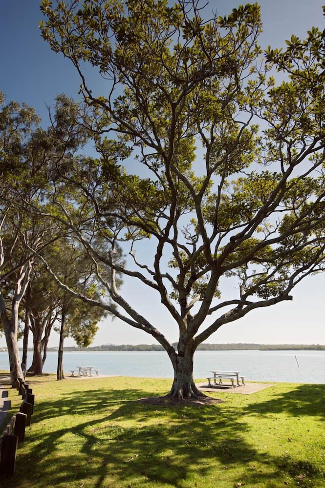 Langley Park Apartments 53/66