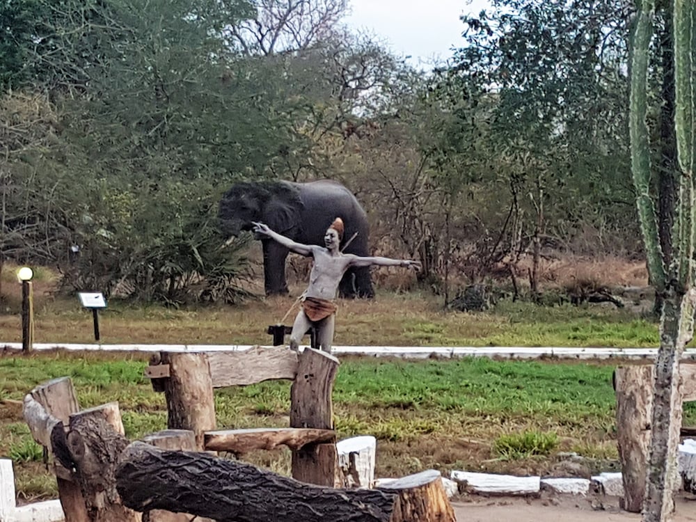 Africa Safari Camp 22/50