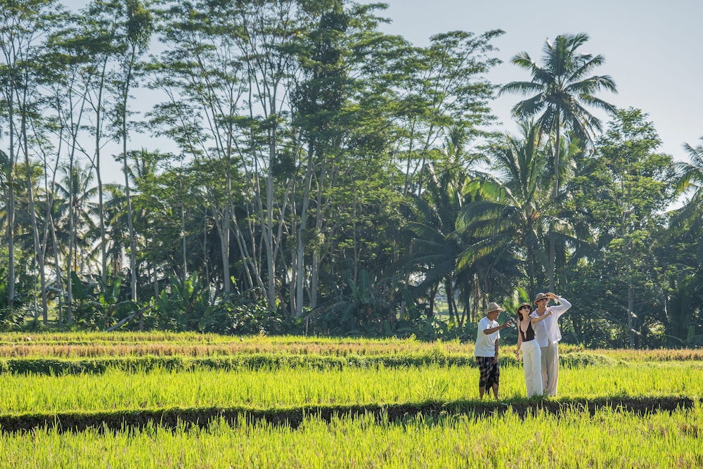 Metland Venya Ubud (Formerly Horison Ume Suites and Villas Ubud) 40/50