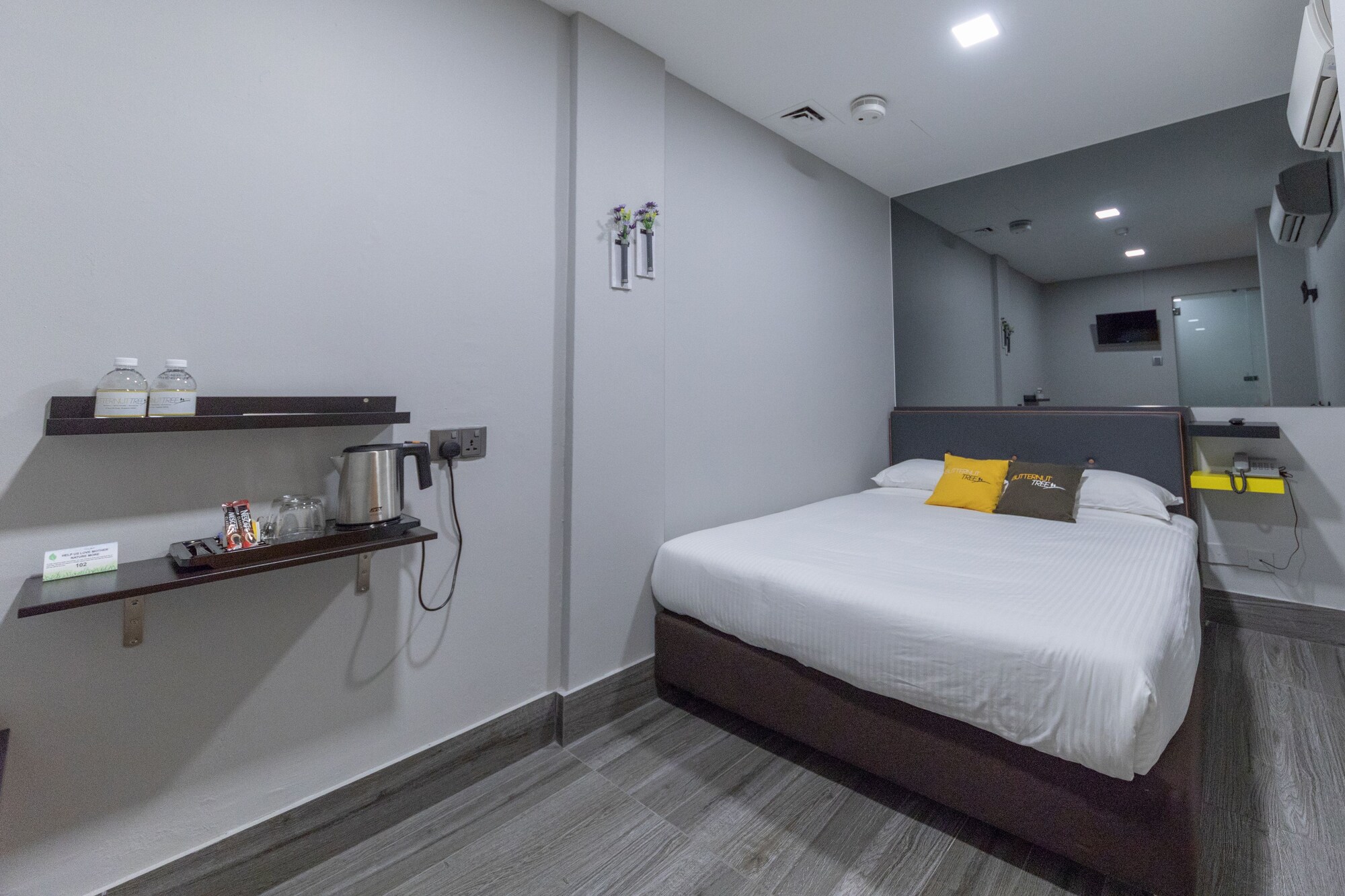 Room, Queen Bed, No Window