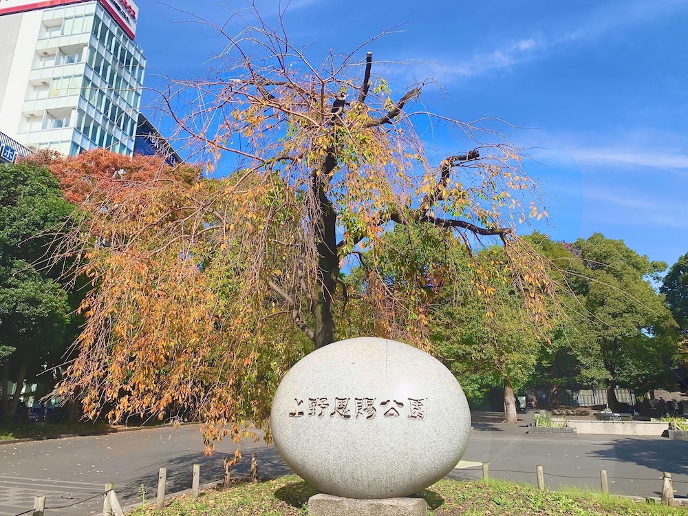 Apa Hotel Asakusa-Ekimae 62/65