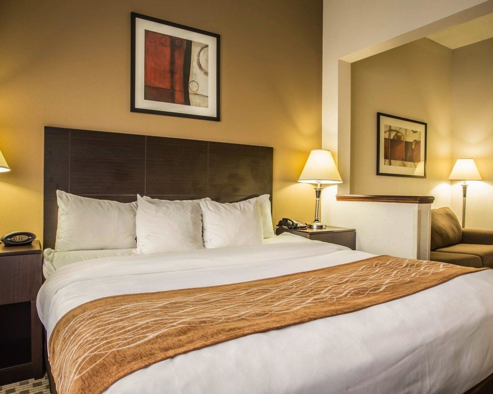 Comfort Suites Lumberton North 16/53
