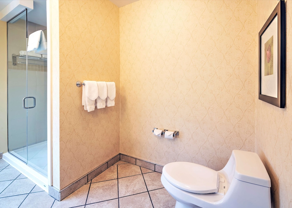 Hilton Garden Inn Ottawa Airport 22/86