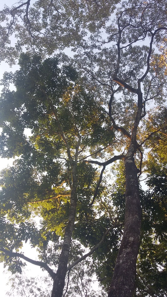 Kelta Iguazu 47/62