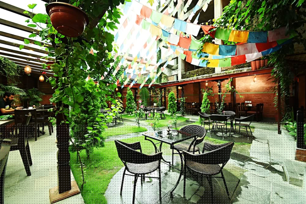 Hotel Buddha 44/56