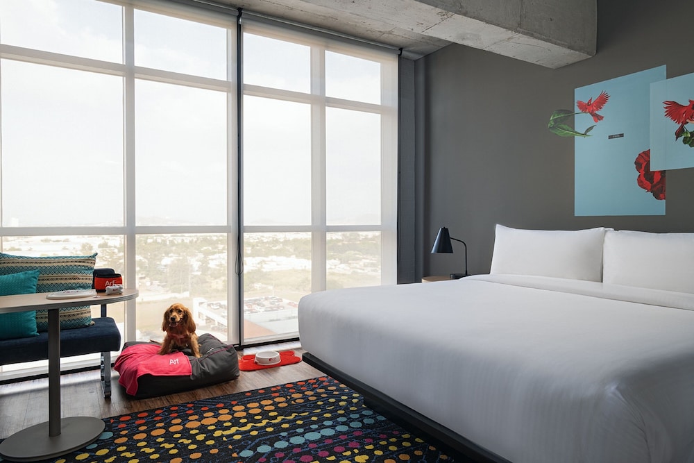 Aloft Guadalajara Sur 15/50