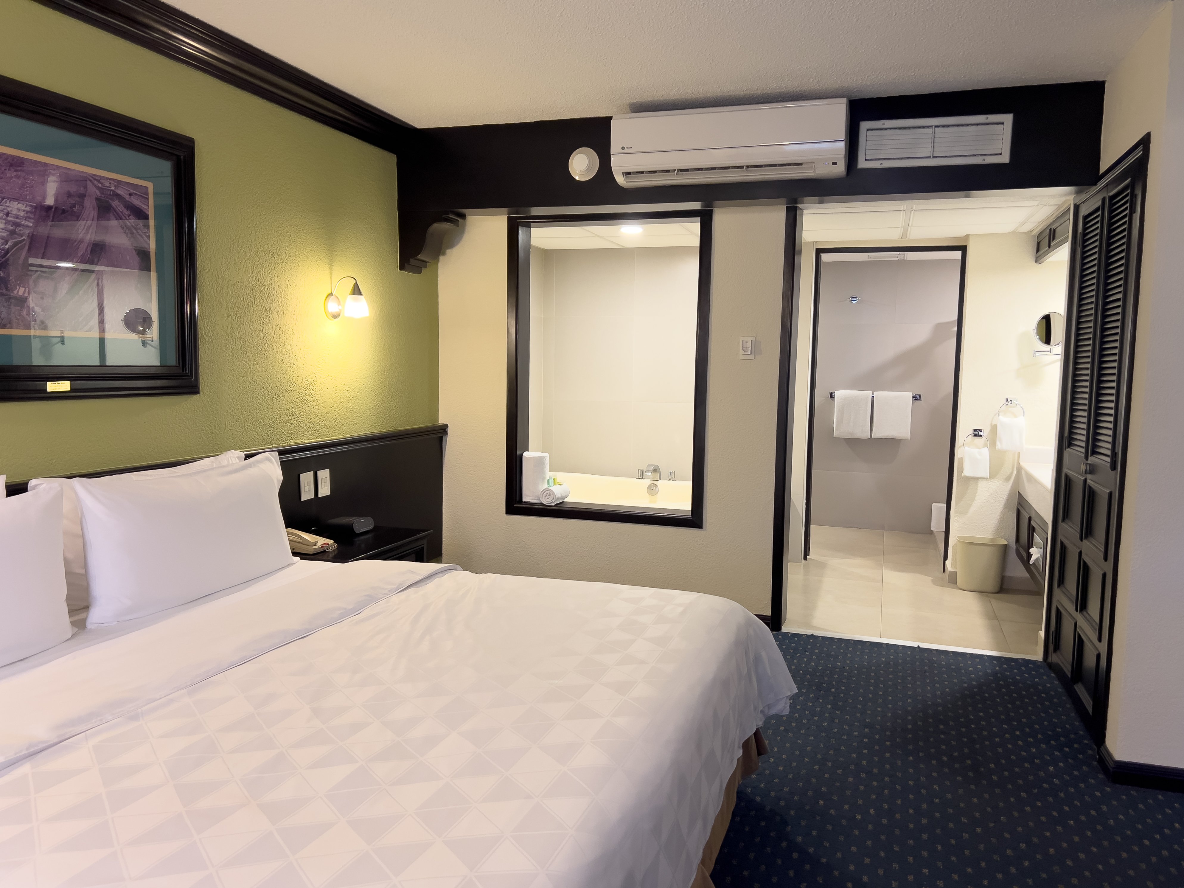 Holiday Inn San Luis Potosi-Quijote 10/50