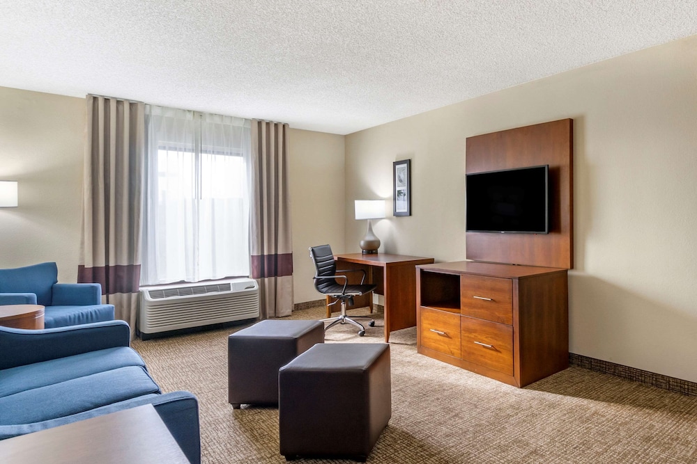 Comfort Inn & Suites St. Pete - Clearwater International Airport 19/41