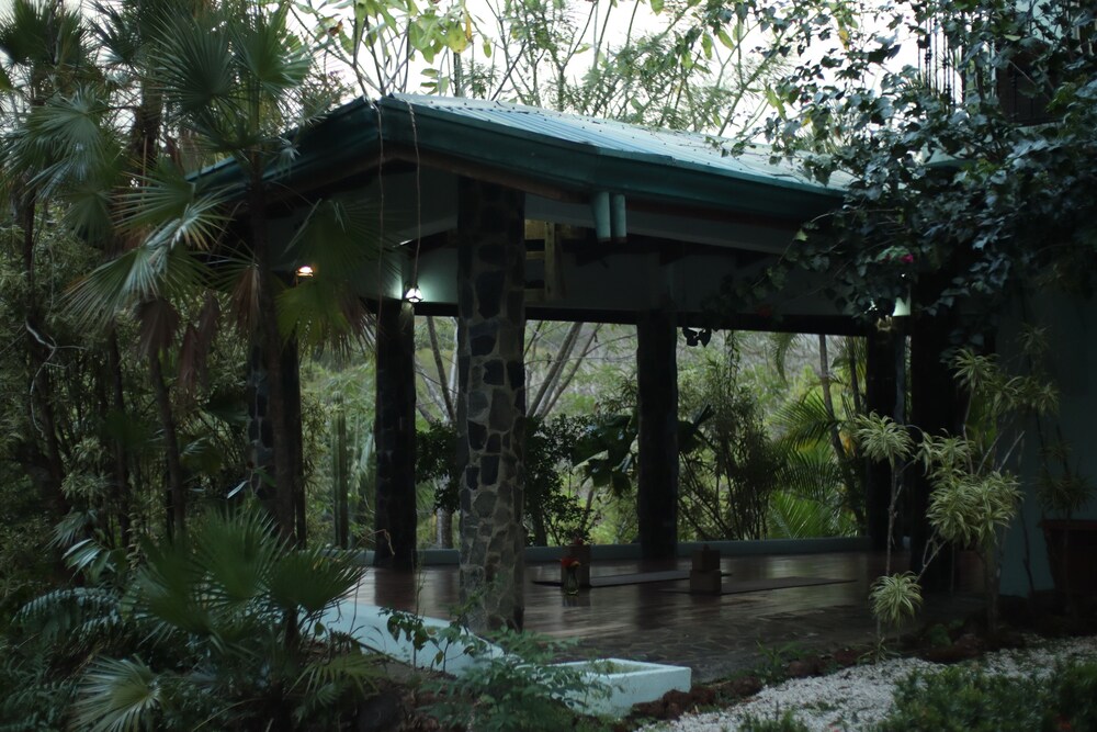 Jungles Edge 5/50