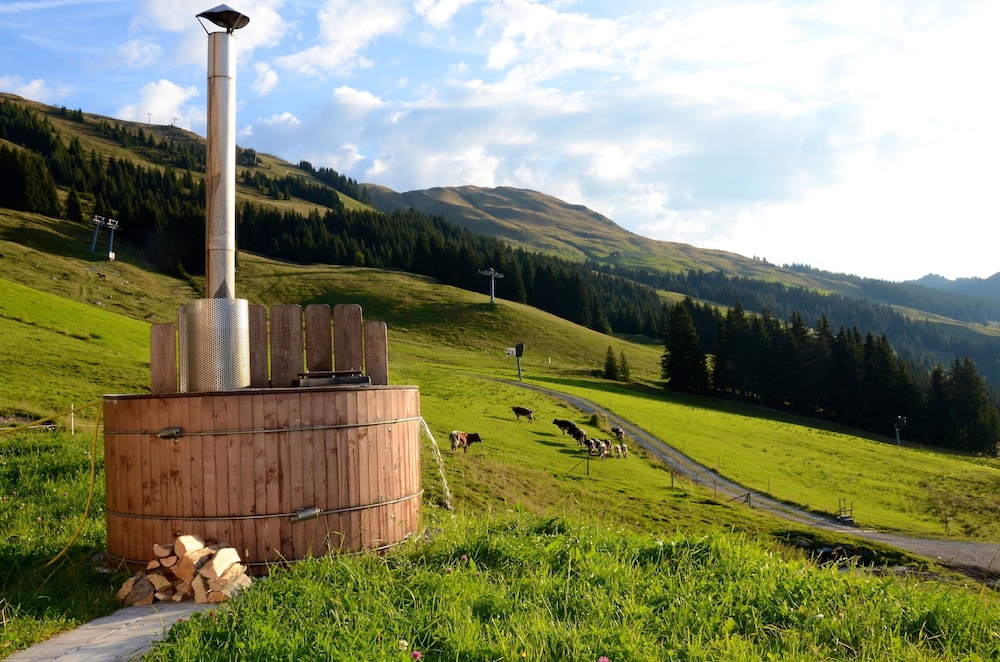 Alpine Premium Chalet Wallegg-Lodge 12/16