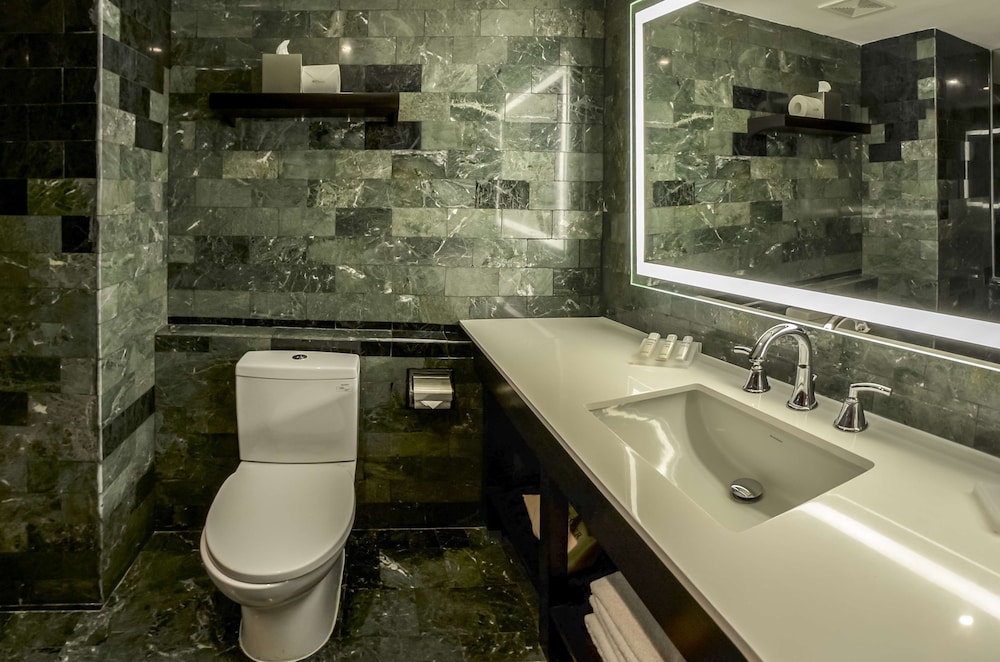 Hilton Garden Inn Guatemala City 18/58