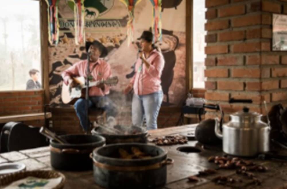 HOTEL FAZENDA DONA FRANCISCA 24/50