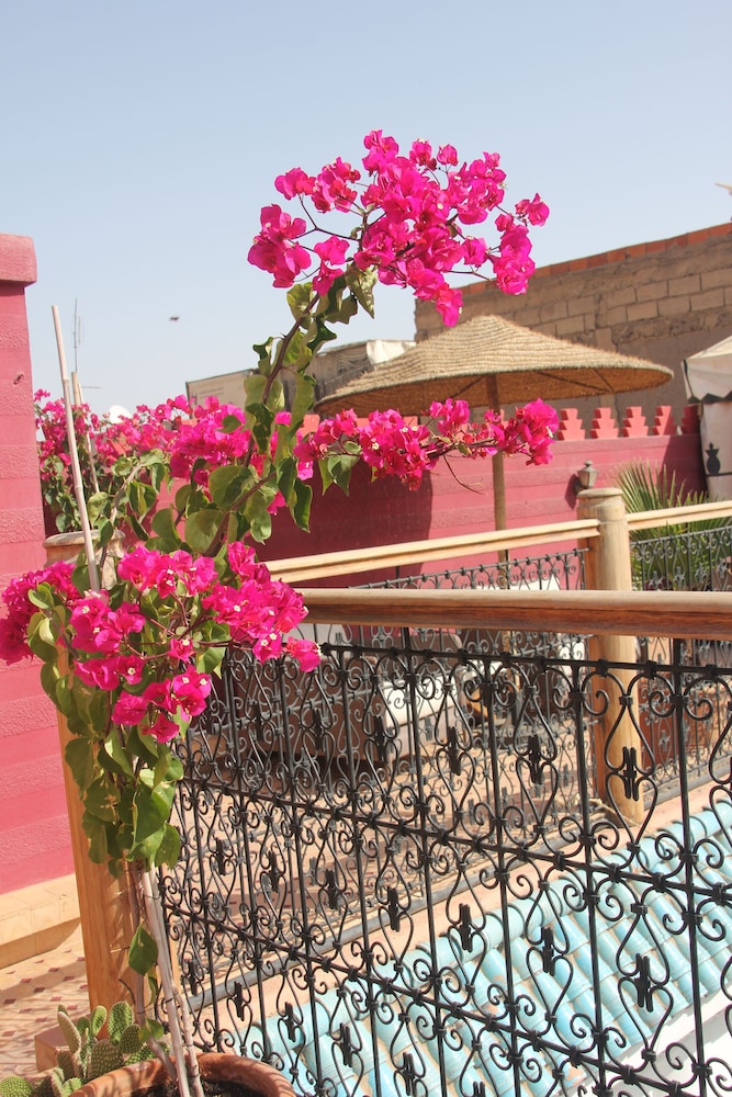 Riad Asrari 4/49