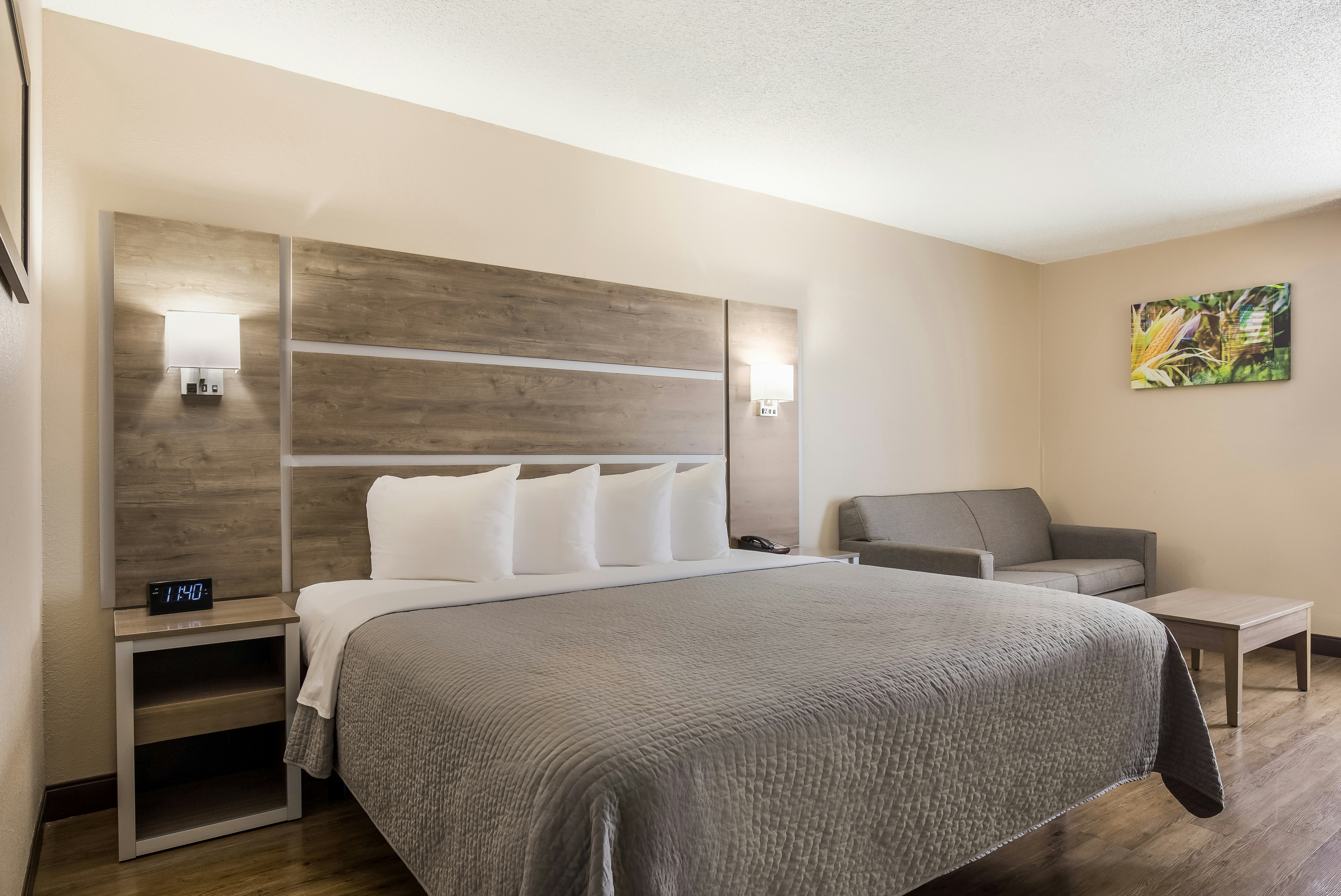 Hometown Inn Thomasville 25/52