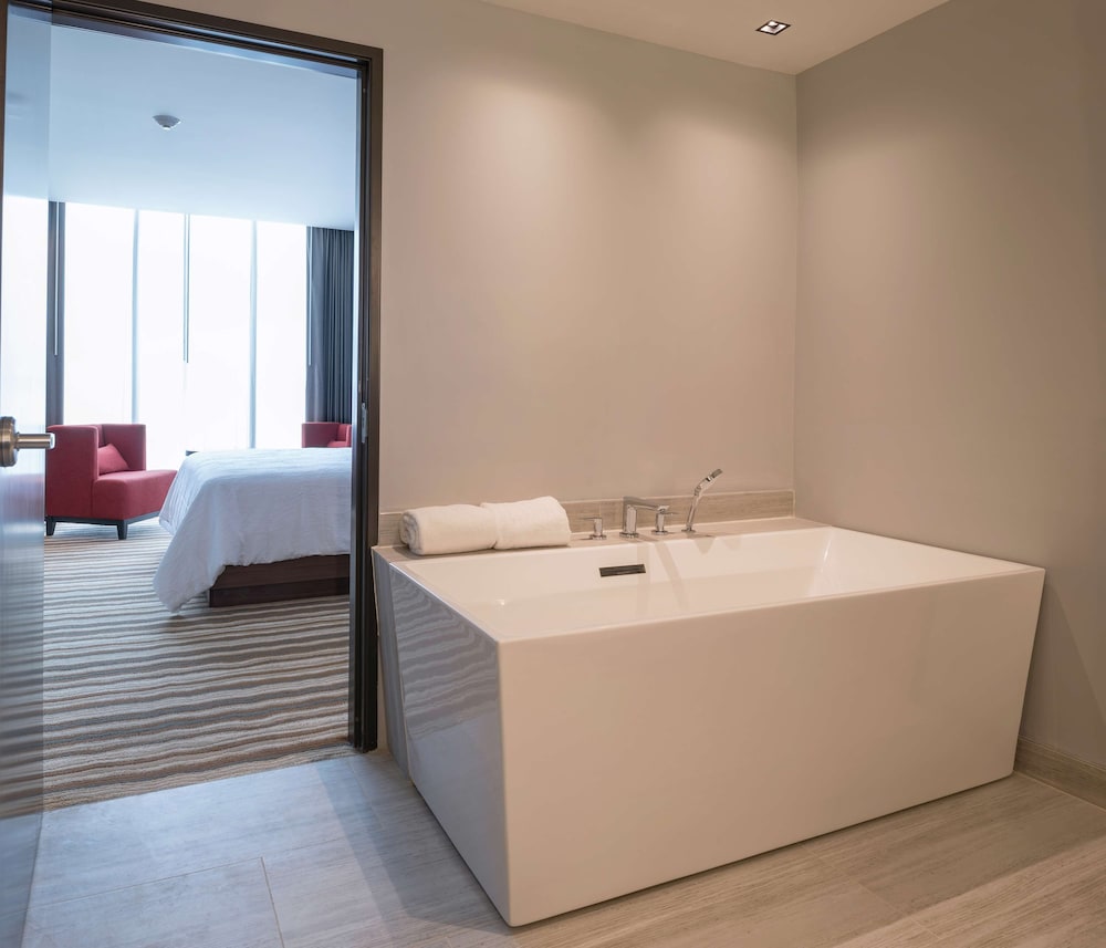 Hilton Garden Inn Chihuahua Chihuahua 20/67
