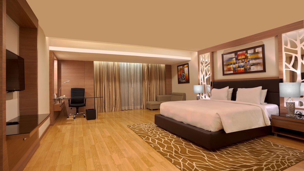 RADISSON UDAIPUR 16/69