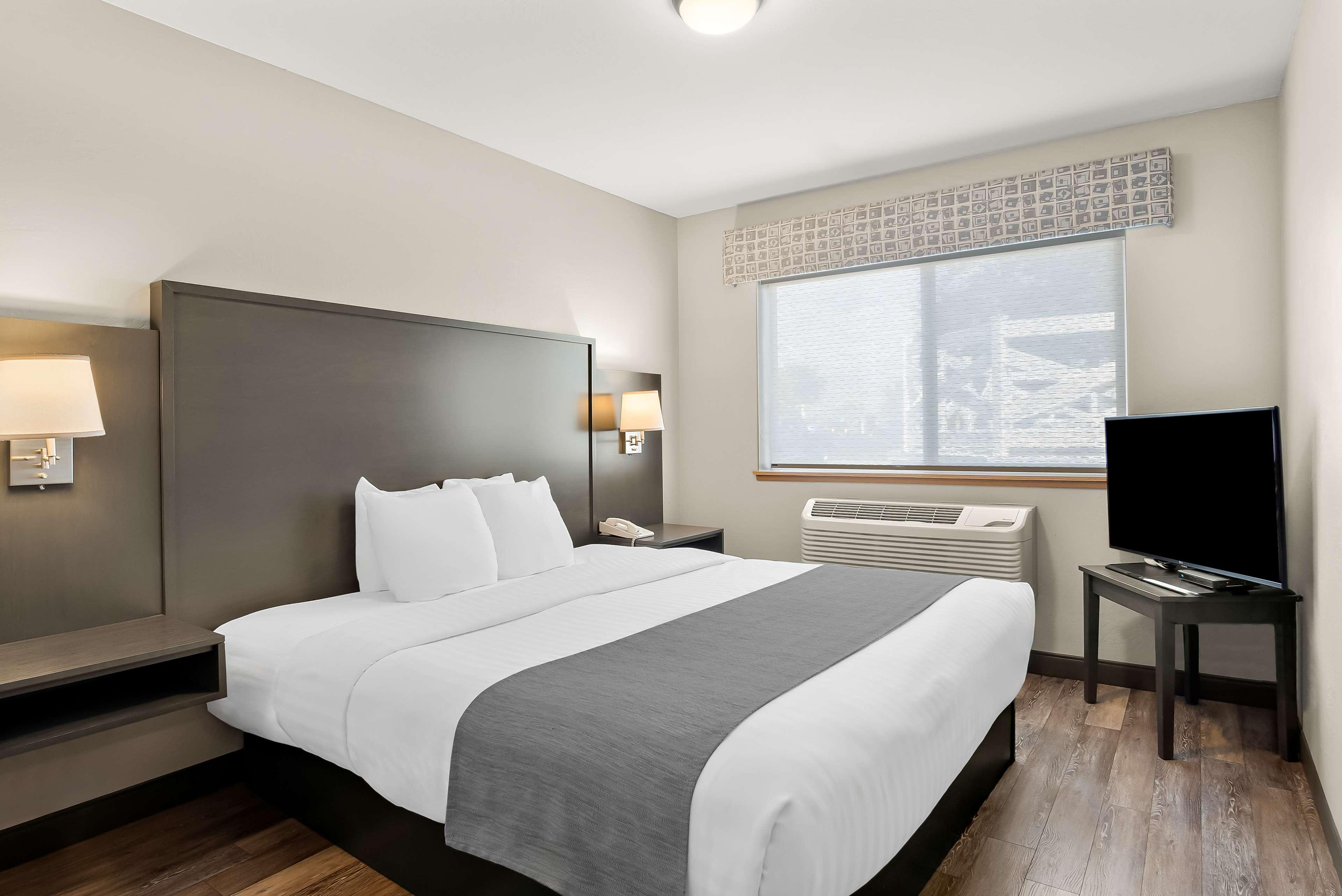 Apartment, King Bed