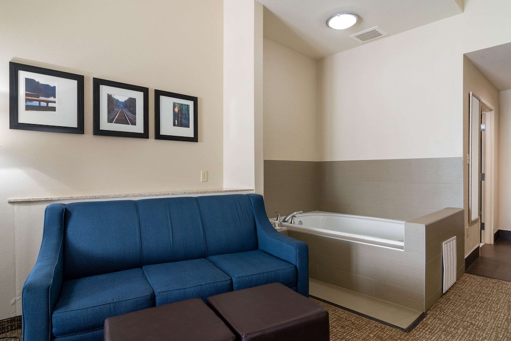 Comfort Suites Byron Warner Robins 30/40