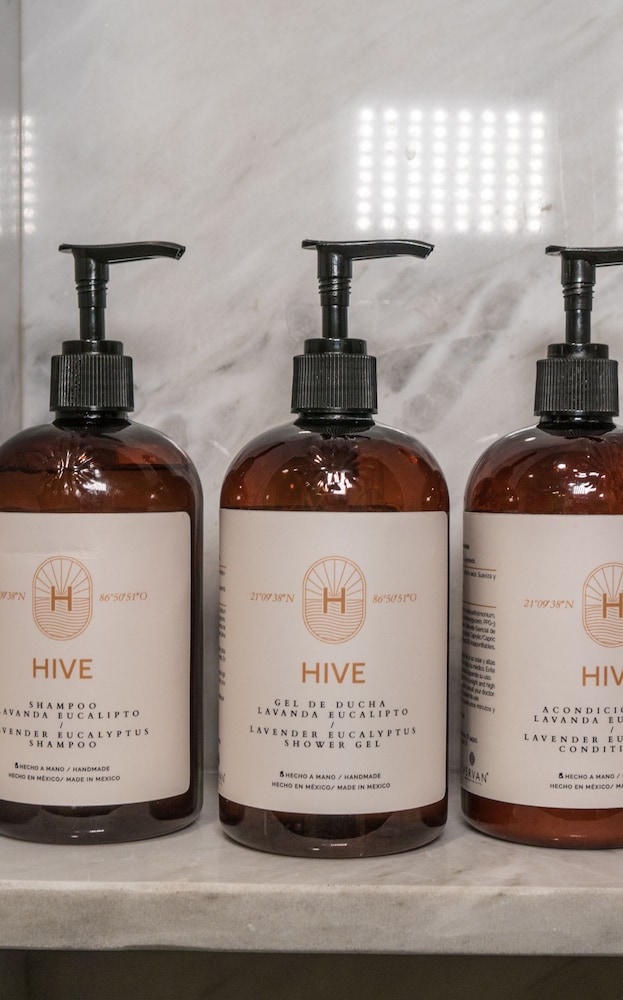 Hive坎昆酒店(Hive Cancun) 图片2