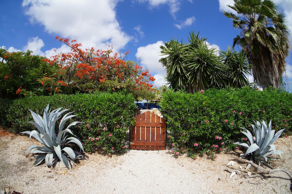 Caribbean Chillout 26/35