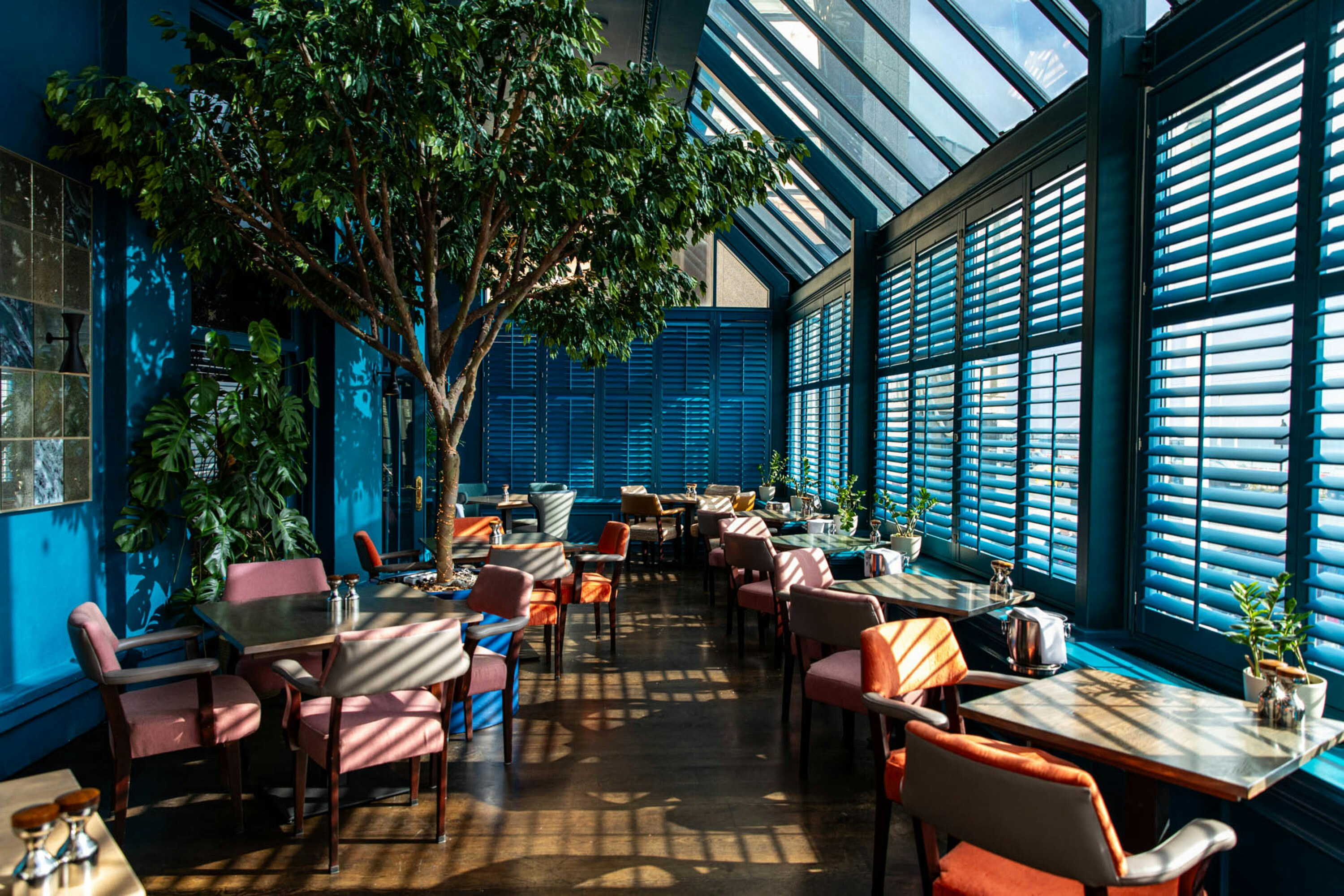 The Grand Brighton 37/62