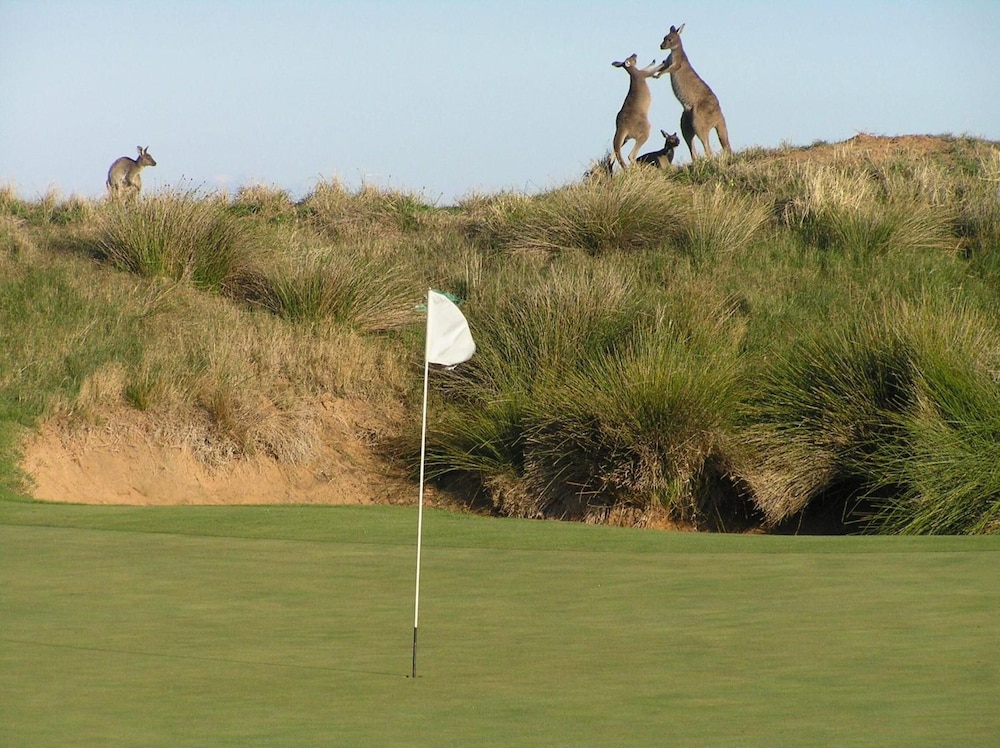 LINKS LADY BAY RESORT 23/61