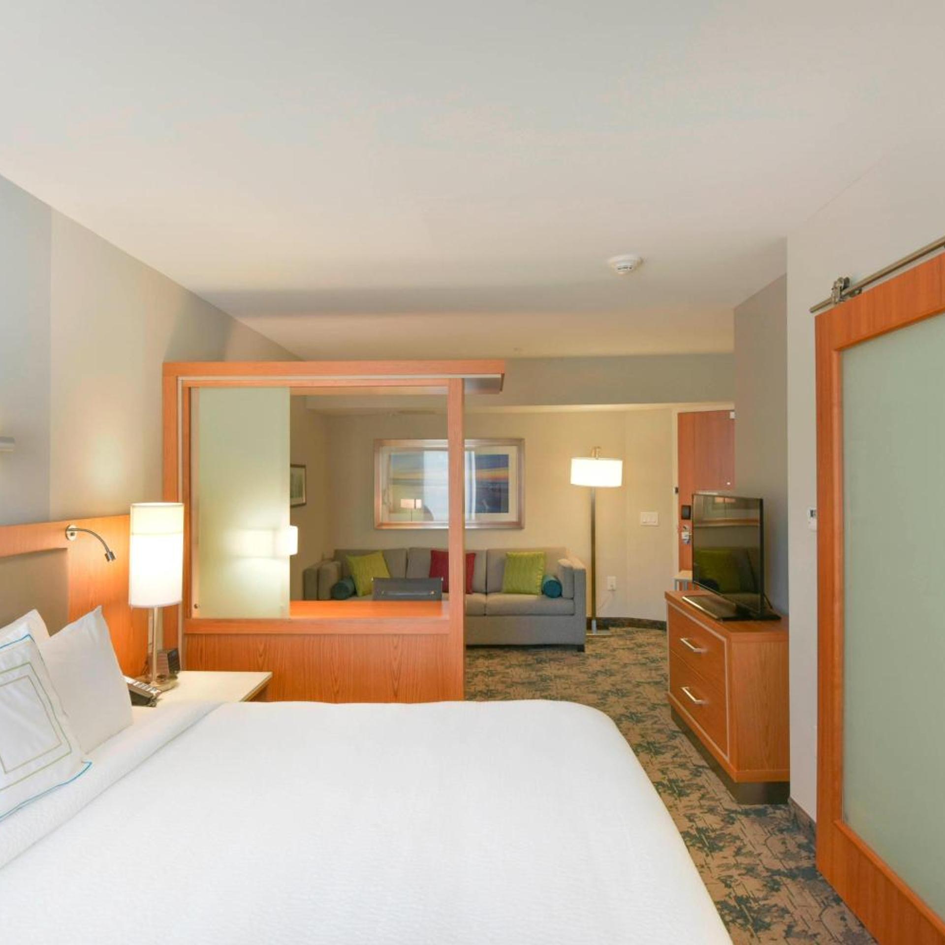 Suite, King Bed, Trundle Bed, Sofa, Accessible