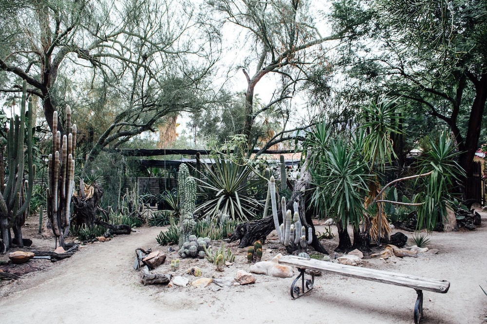 Desert Lodge 31/50