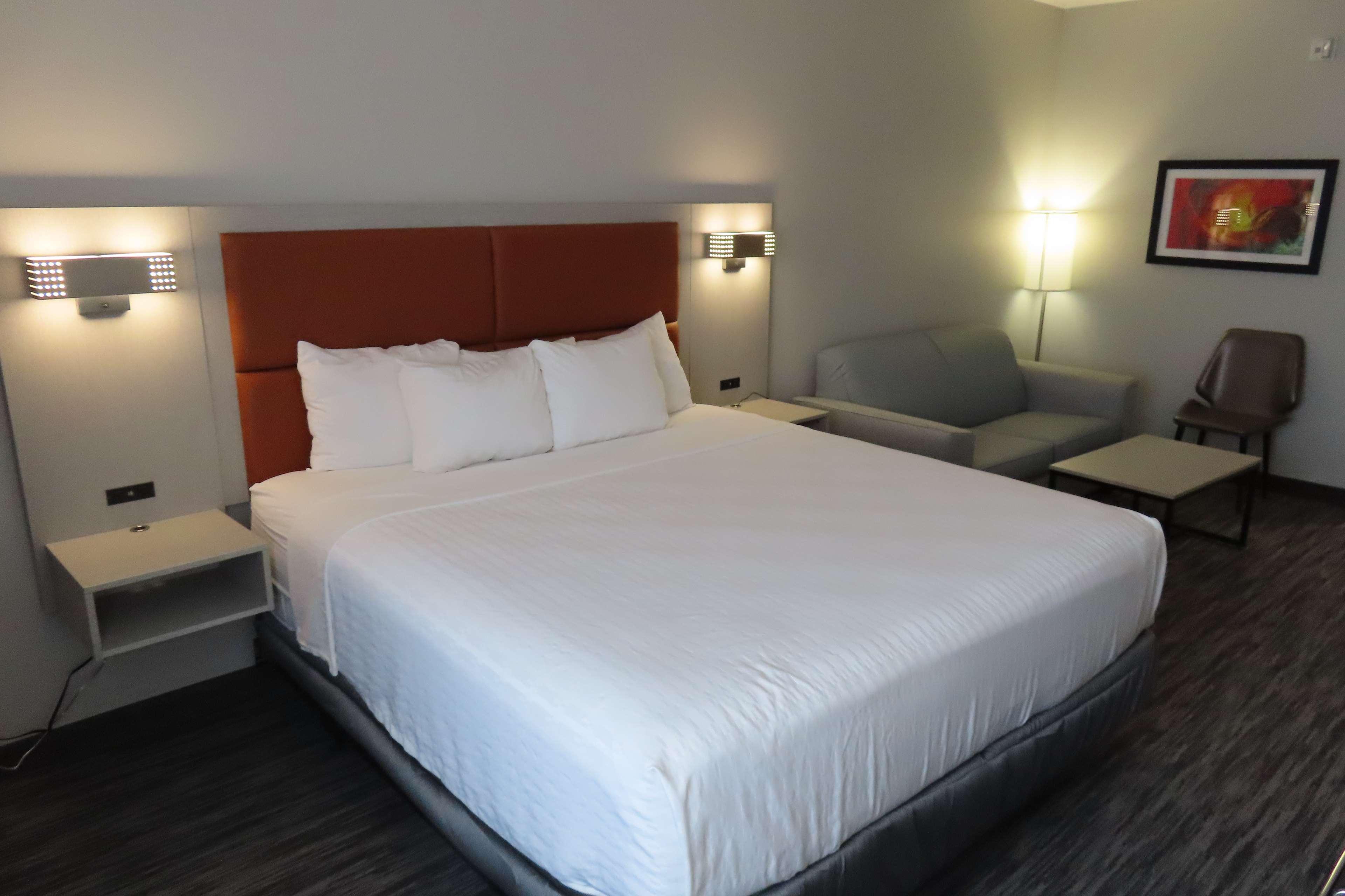 Suite, King Bed