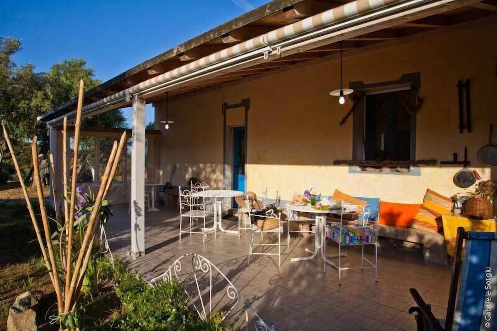 The Old Farm Asfodeli - Adults Only 18/28