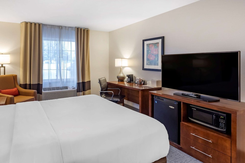 Comfort Inn & Suites Carbondale on the Roaring Fork 14/60