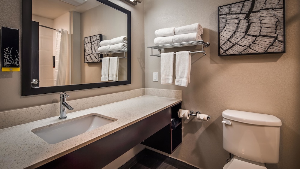 Best Western Plus Bay City Inn & Suites 20/44