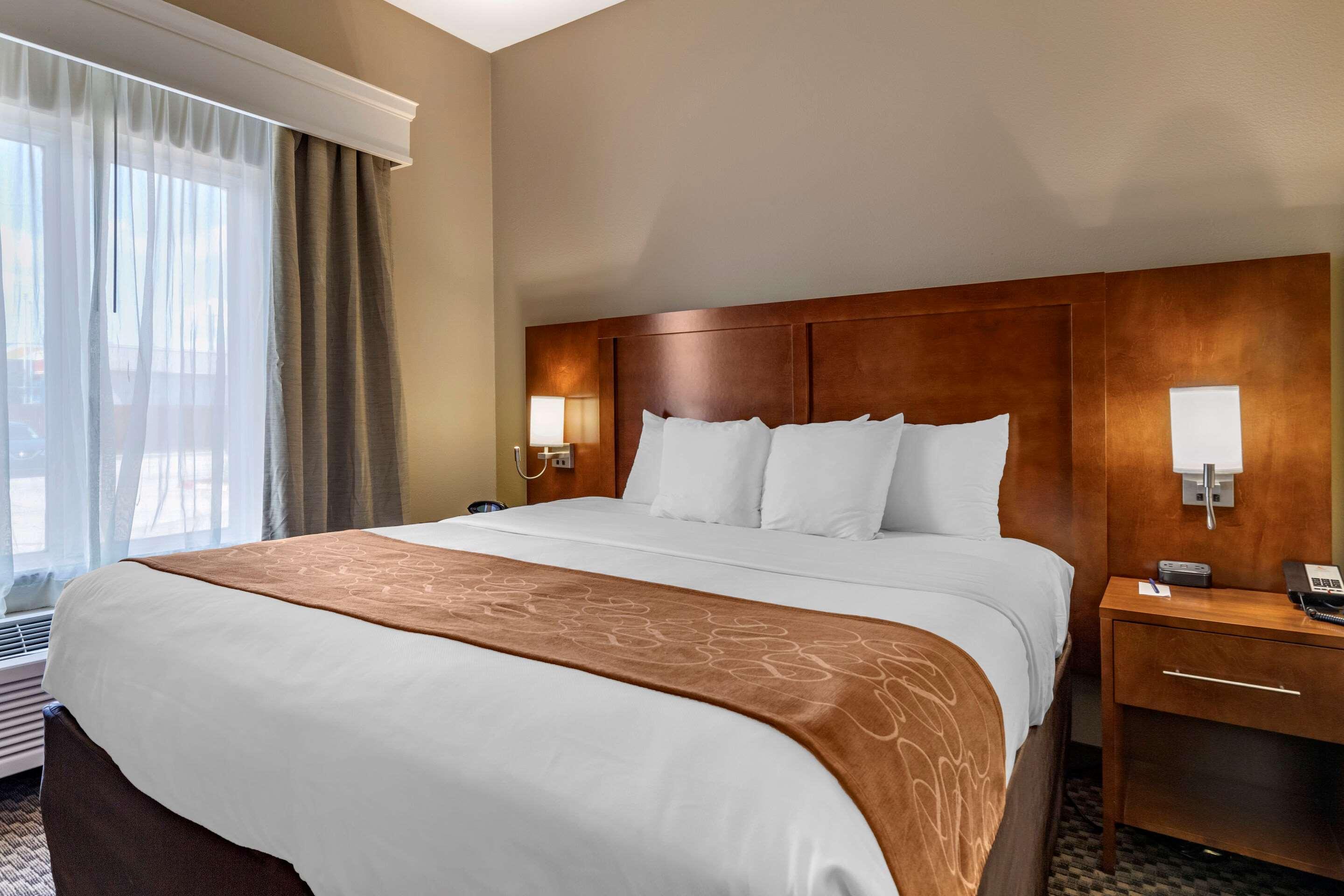 SUITE, KING BED