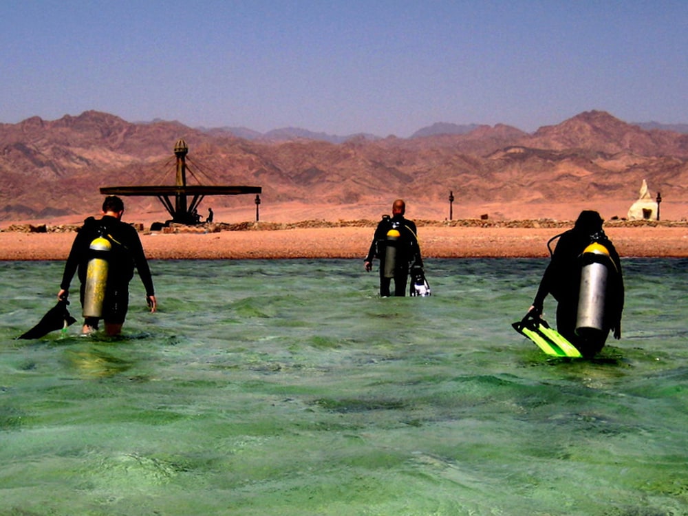 Red Sea Relax 29/37