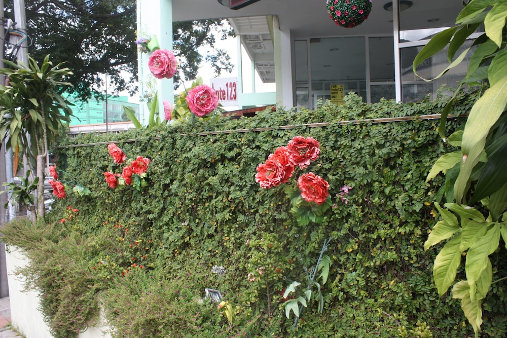 HOTE123 44/50