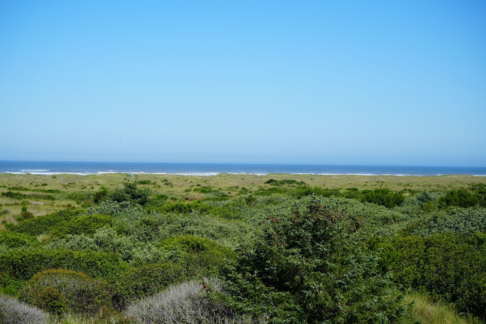 Coratel Inn and Suites By Jasper Ocean Shores 47/50