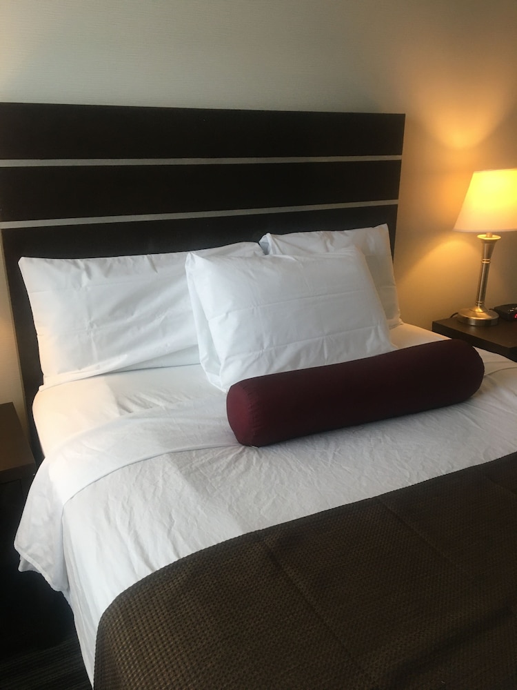 Super 8 By Wyndham Saskatoon Near Downtown 30/46